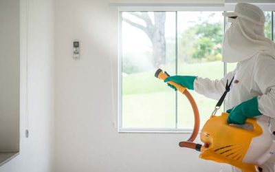 Desinfecção de ambientes | Maneiras de prevenção contra o COVID-19