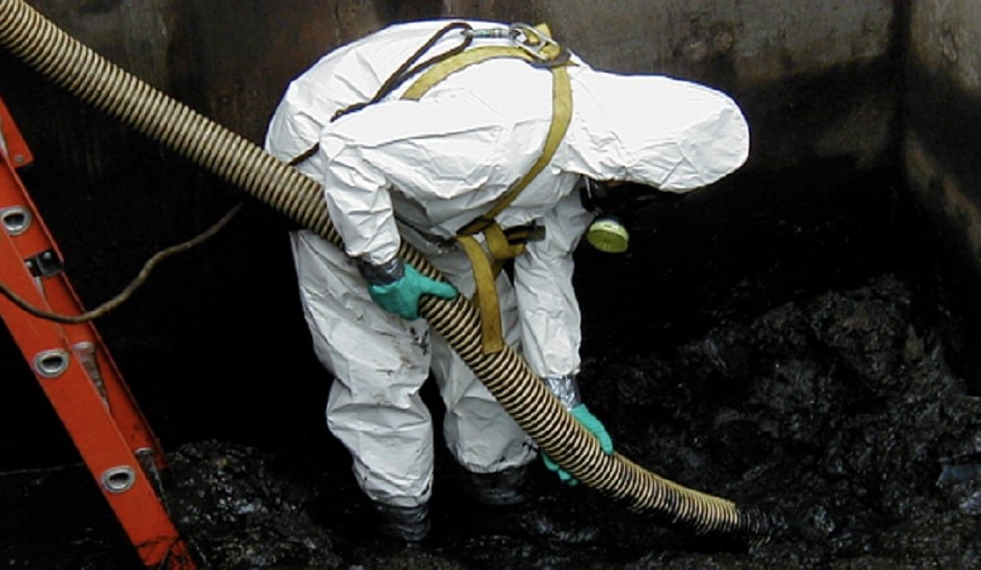 Como acabar com os cupins | Saiba o que fazer