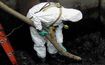 Como acabar com os cupins | Saiba o que fazer